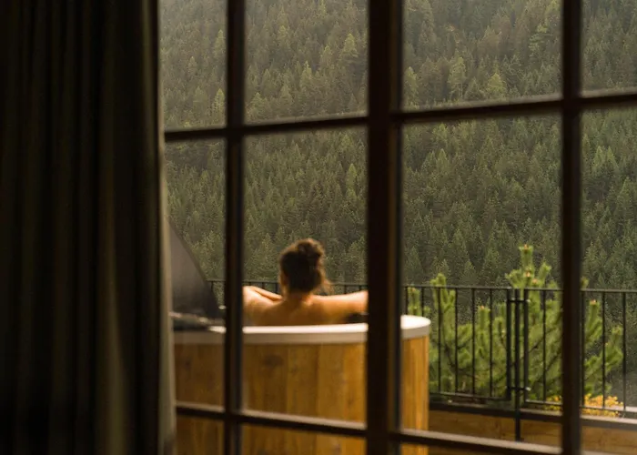Mons Silva Private Luxury Chalets Racines